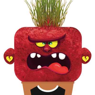 Чичко тревичко Hape, Ядосаната Ан