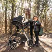 Комбинирана бебешка количка 2в1 Lorelli Aspen, Black-2jNhj.jpeg