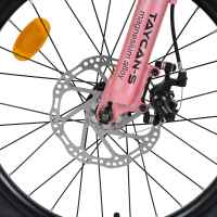 Велосипед със скорости Byox Taycan-S 20, pink-3NMH8.jpeg