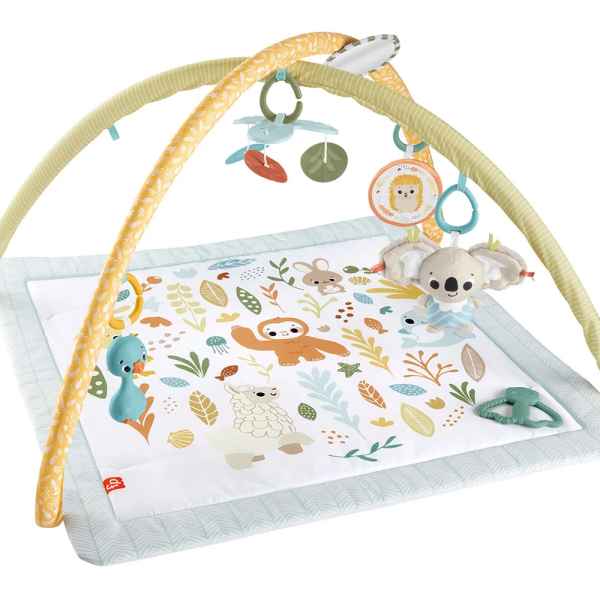 Активна гимнастика Fisher Price-4JEof.jpeg