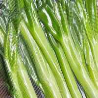 Ролка за вакуум машина Beper 28 см-54HFw.jpeg