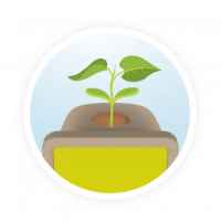 Образователен комплект Buki France, Природа, Комплект за засаждане на растения-5iNPZ.jpeg