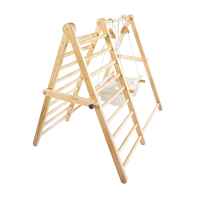 Дървена стълба за катерене и люлка Chipolino-6skf9.jpeg