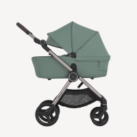 Бебешка количка Anex IQ Premium New /all in one/, Olly-7RLpj.png