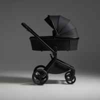 Комбинирана бебешка количка 3в1 Anex Flo, Lungo-9PpvZ.jpeg