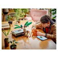 Конструктор LEGO Harry Potter Мандрагора-BVklK.jpeg