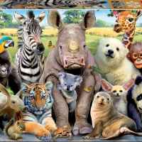 Пъзел Educa, На училище, 300 части-C7BwK.jpeg