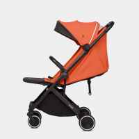 Комбинирана бебешка количка Anex 2в1 Air-X, Terracota-CEkgM.jpg