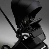 Комбинирана бебешка количка 2в1 Anex Flo, Lungo-DrzRX.jpeg