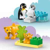 Конструктор LEGO DUPLO Семействата на дивите животни-E0uhw.jpeg