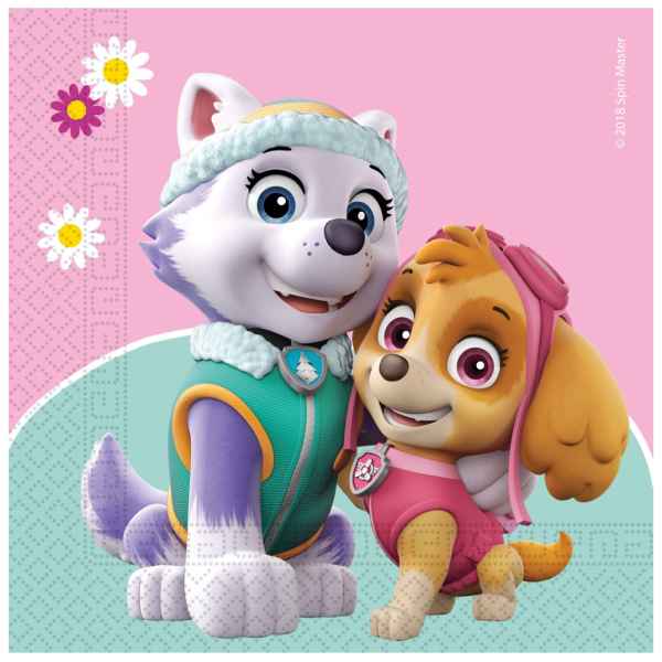 Салфетки, Paw patrol Skye-EKdh1.jpeg