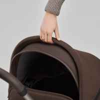 Бебешка количка Anex IQ Premium New /all in one/, Pure-ERbFa.jpeg