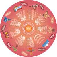 Образователен пъзел за под Hape, Центърът на Земята, 57.5 см, 36 части-FnjNL.jpeg