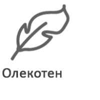 Кош за новородено Joie ramble xl, Sandstone-GiLjV.jpeg