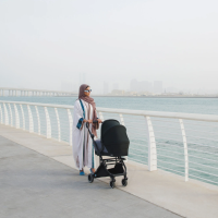 Кош за новородено Anex Air-X, сив-HUhvk.png