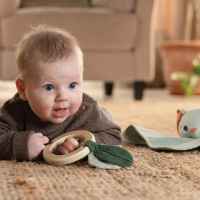 Муселинова играчка за гушкане Tiny Love, Заек и дървена дрънкалка от Еко колекция Garden of Adventures, 0м+-Id2gr.jpeg