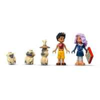 Конструктор LEGO Disney Princess Лодката на Боун-Iep8q.jpg