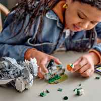 Конструктор LEGO Harry Potter, Бъкбийк-J7CSd.jpeg