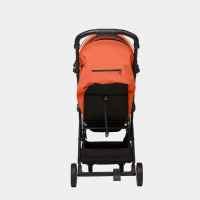 Комбинирана бебешка количка Anex 2в1 Air-X, Terracota-JzWio.jpg