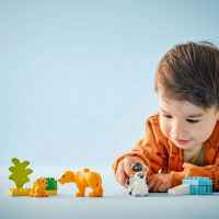 Конструктор LEGO DUPLO Семействата на дивите животни-KDJ9E.jpeg