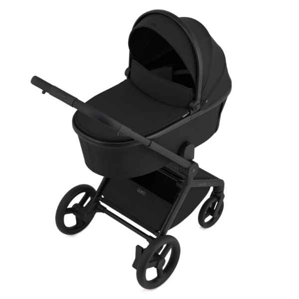 Комбинирана бебешка количка 2в1 Anex Flo, Lungo-L4SEg.jpeg