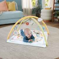 Активна гимнастика със сензорни занимания Fisher Price-LLc3t.jpeg