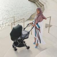 Кош за новородено Anex Air-X, черен-LTSIF.png