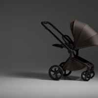 Комбинирана бебешка количка 3в1 Anex Flo, Browny-Lemjk.jpeg