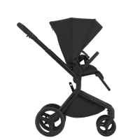 Комбинирана бебешка количка 3в1 Anex Flo, Lungo-LizpP.jpeg