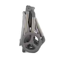 Комбинирана бебешка количка 2в1 Anex Flo, Frossy-NQFYx.jpeg