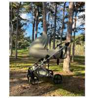 Комбинирана бебешка количка 2в1 Anex Eli, Gato-OMchL.jpeg