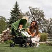 Лятна бебешка количка Lorelli Rome, Green Aspen-PSeX3.jpeg