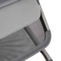 Комбинирана бебешка количка 2в1 Anex Flo, Frossy-RvlVY.jpeg