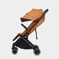 Комбинирана бебешка количка Anex 2в1 Air-X, Toffee-SKnpt.jpg