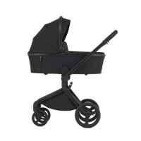 Комбинирана бебешка количка 2в1 Anex Flo, Lungo-SSvGB.jpeg