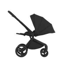 Комбинирана бебешка количка 2в1 Anex Flo, Lungo-Sdh6p.jpeg