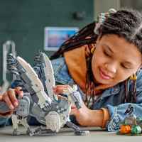 Конструктор LEGO Harry Potter, Бъкбийк-SuzhN.jpeg