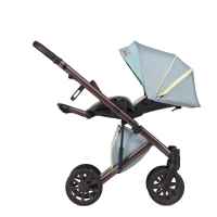 Комбинирана бебешка количка Anex 2в1 E/type, Victor Wilson Special Edition-SwlvD.jpg