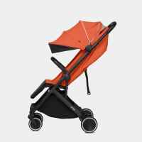 Лятна бебешка количка Anex Air-X, Terracota-T9eXy.jpeg