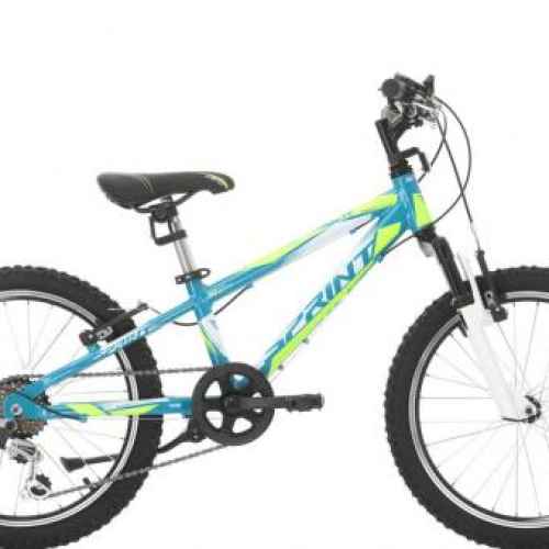 Детски велосипед Sprint Hat Trick 20, син/зелен