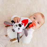 Играчка контрацтираща кученцето Pedro Hola-Vawcv.jpeg