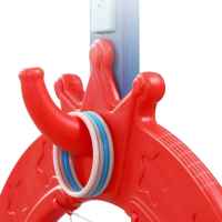 Интерактивен баскетболен кош 6 в 1 Feelkids, син-VfVJp.jpeg