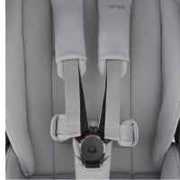 Комбинирана бебешка количка 3в1 Anex Flo, Frossy-XOzyg.jpeg