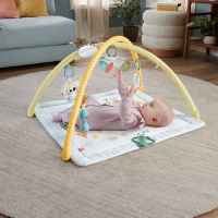 Активна гимнастика със сензорни занимания Fisher Price-YQA2h.jpeg