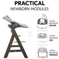 Дървено столче за хранене Hauck Alpha+, Charcoal-YrNeR.jpeg