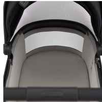 Комбинирана бебешка количка 3в1 Anex Flo, Lungo-ZhjbP.jpeg