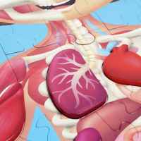 Дървен пъзел Hape, Човешко тяло, 60 части-aSOCw.jpeg