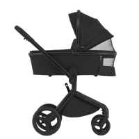 Комбинирана бебешка количка 3в1 Anex Flo, Lungo-anxaU.jpeg