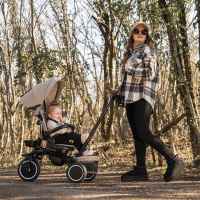 Сгъваема триколка Lorelli Freccia с ротация 360, Beige-cBXME.jpeg