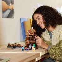 Конструктор LEGO Minecraft, Боен ринг в Горското име-d9tUb.jpeg